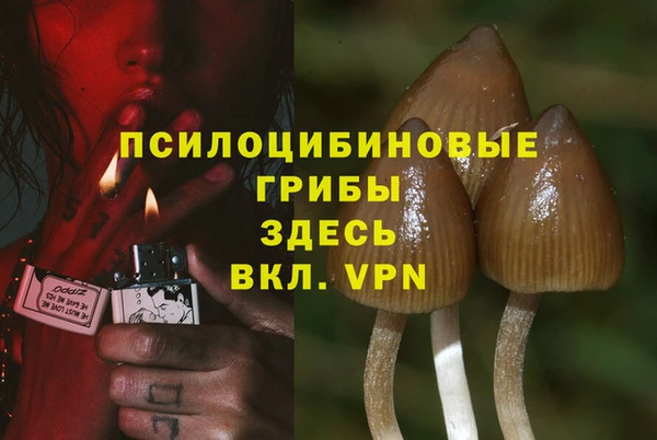 MDMA Верхний Тагил